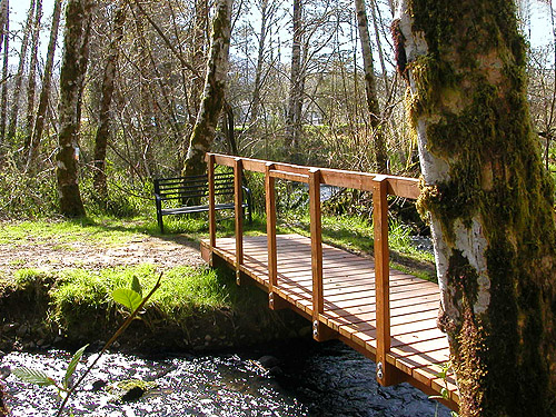 footbridge over creek below Ryderwood Pond, Cowlitz County, Washington