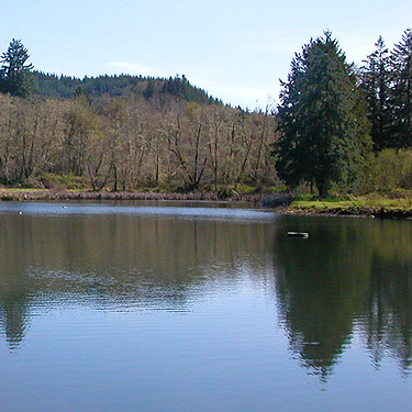 placid surface of Ryderwood Pond, Cowlitz County, Washington