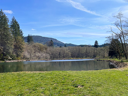 Slope of Pumphrey Mountain from Ryderwood Pond, Cowlitz County, Washington