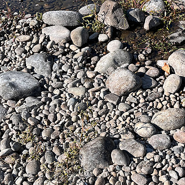 river cobbles, Cowlitz River SW of Salkum, Washington