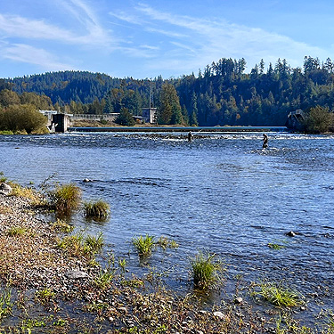 Barrier Dam & salmon hatchery above river access site, Cowlitz River, Washington