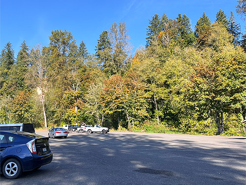 river access parking lot, Cowlitz River SW of Salkum, Washington