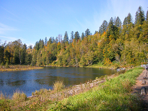 Cowlitz River SW of Salkum, Washington