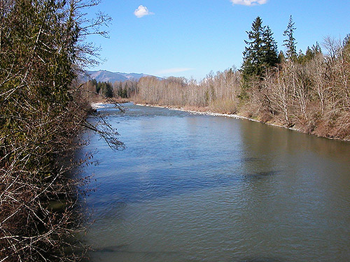 downstream South Fork Nooksack, Saxon Bridge on South Fork Nooksack River, south central Whatcom County, Washington