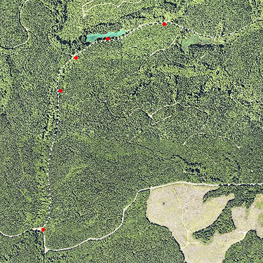 2021 aerial photo of Schafer Grade Road, Grays Harbor County, Washington