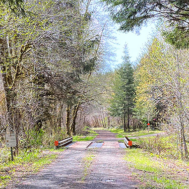 bridge over nameless creek, Schafer Grade Road, Grays Harbor County, Washington