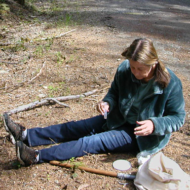 Kathy Whaley sorting a beat sample, Schafer Grade Road, Grays Harbor County, Washington