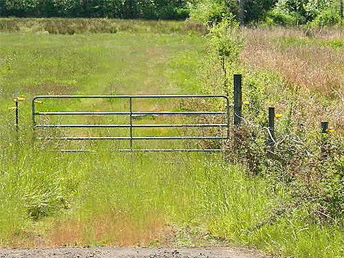 electric fence and gate across highway from Hall Road Wildlife Area, Silver Lake, Cowlitz County, Washington