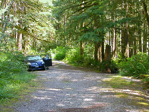 where we parked on the road up Silver Creek, Galena, Snohomish County, Washington