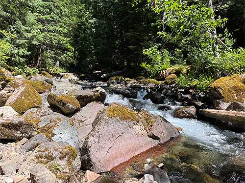 creek bed boulders, Johnson Creek, Skate Creek Valley, Lewis County, Washington