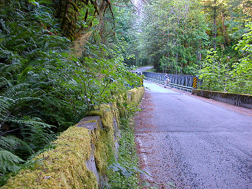 Skate Creek bridge, Skate Creek Valley, Lewis County, Washington