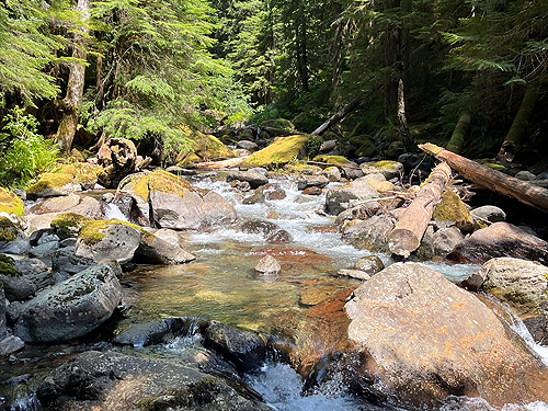 Creek viewed from its bed, Johnson Creek road, Skate Creek Valley, Lewis County, Washington