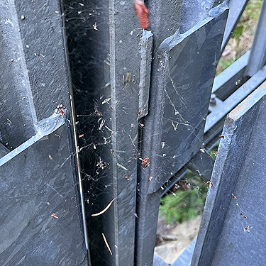 web on girder, Skate Creek bridge, Skate Creek Valley, Lewis County, Washington