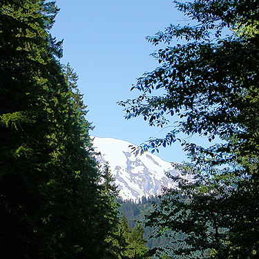 Mt. Rainier viewed from secondary timber road in Skate Creek Valley, Lewis County, Washington