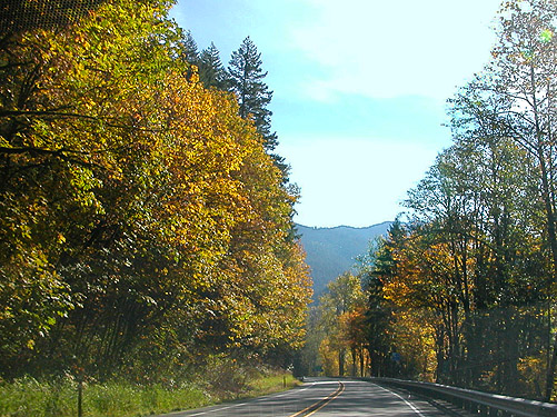fall color along US Highway 2 between Index and Skykomish, Washington on 11 October 2018