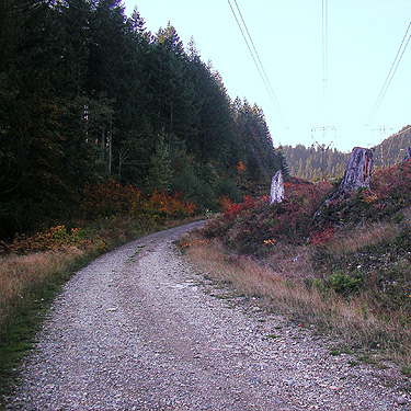 powerline road, powerlline above Beckler River, near Skykomish, King County, Washington
