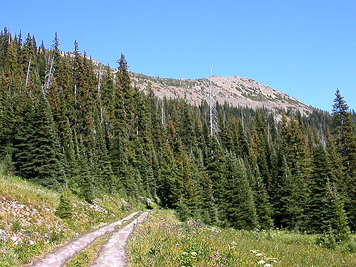Slate Peak, Whatcom/Okanogan County, Washington from Deer Park Campground