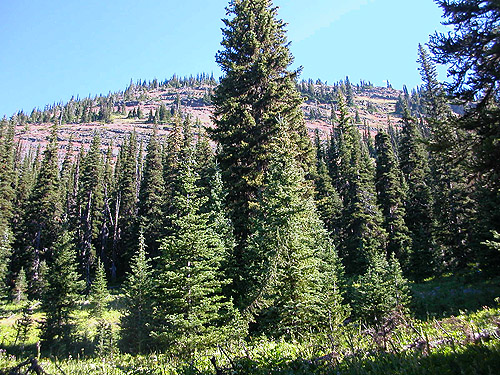 upward slope north of Deer Park Campground, Slate Creek, Whatcom County, Washington
