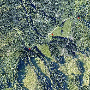 2019 aerial photo, field sites on north slope of Slide Mountain, Whatcom County, Washington
