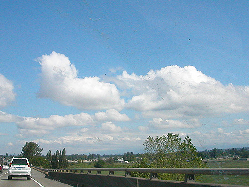 perfect field weather, seen from I-5 driving north through Snohomish County, Washington