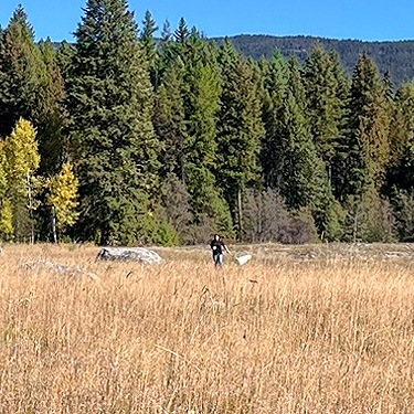 Kathy Whaley sweeping meadow, Smackout Valley, Stevens County, Washington
