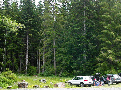 parking lot for trail on south side of Spada Reservoir, Snohomish County, Washington