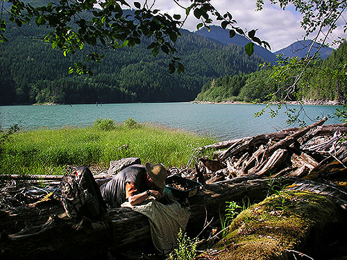 Rod Crawford sifting leaf litter on drift log, Spada Reservoir, Snohomish County, Washington