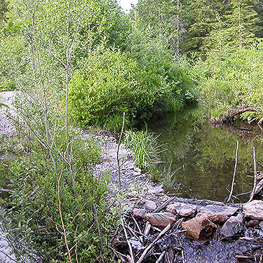 first major stream crossing, trail on S side of Spada Reservoir, Snohomish County, Washington