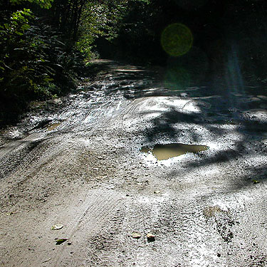 rough road (FS 7220) E of South Prairie Creek, Pierce County, Washington