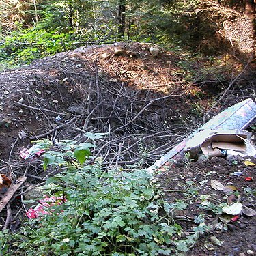 tank trap at start of side road to clearing E of South Prairie Creek, Pierce County, Washington
