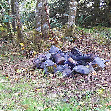 fire ring spider habitat, South Fork Sol Duc River site, Clallam County, Washington