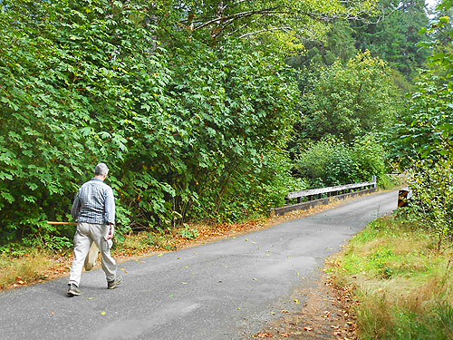 Laurel Ramseyer approaches the bridge, South Fork Sol Duc River site, Clallam County, Washington