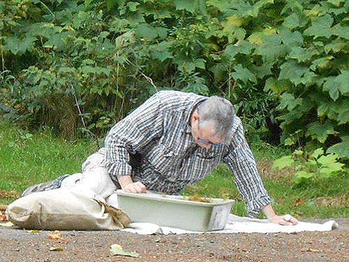 Laurel Ramseyer sifting moss, South Fork Sol Duc River site, Clallam County, Washington