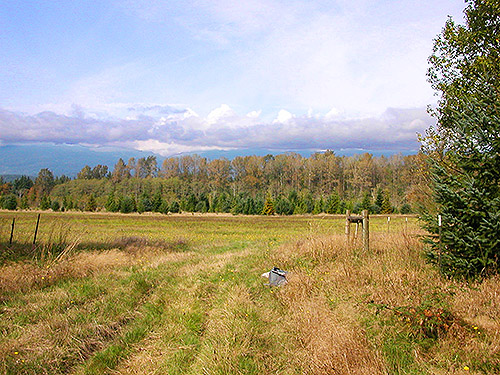 large grassy field W of O'Toole Creek mouth, S shore Skagit River, Washington