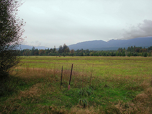 large grassy field W of O'Toole Creek mouth, S shore Skagit River, Washington
