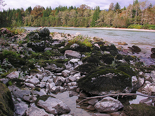 rocky river bank, South Bank Skagit River east of O'Toole Creek