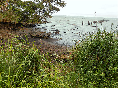 mini-cove and beach, coastal strip at Stafford Creek mouth, Grays Harbor, Washington