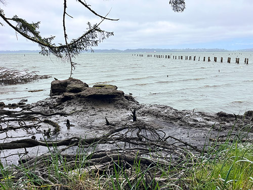 rocky ledge on beach, coastal strip at Stafford Creek mouth, Grays Harbor, Washington