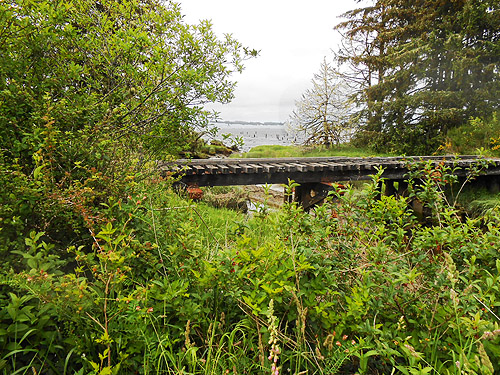 RR trestle over Stafford Creek, coastal strip at Stafford Creek mouth, Grays Harbor, Washington