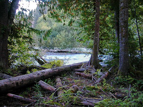 Sulphur Creek flowing into Suiattle River, Sulphur Creek Campground, Snohomish County, Washington