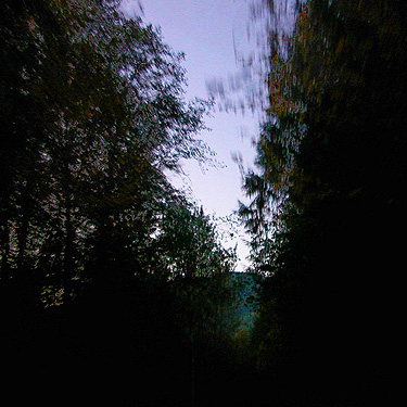westbound after dusk on Suiattle River Road, Snohomish County, Washington