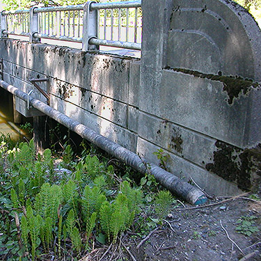bridge over Johnson Creek, SW corner of Sumas, Whatcom County, Washington