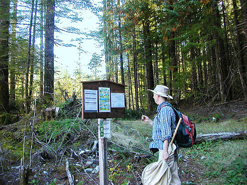 true trailhead of Sunday Lake Trail, North Fork Snoqualmie, King County, Washington