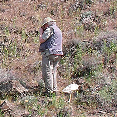 Rod Crawford collecting a Psilochorus under a rock, above Sunland Estates, Grant County, Washington