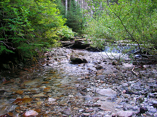 Surprise Creek, mid-part of Surprise Creek Trail, NE King County, Washington