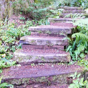 stairs on trail, middle part of Surprise Creek Trail, NE King County, Washington