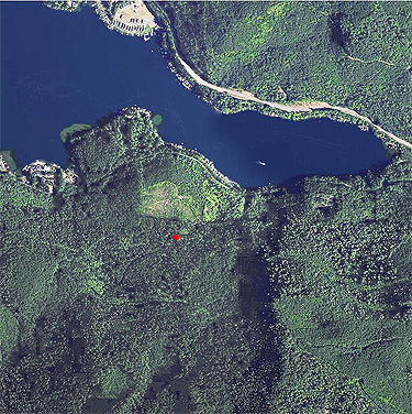 Lake Sutherland, Washington, and our forest to the south