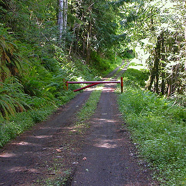 Gate on forest service road south of Lake Sutherland, Clallam County, Washington