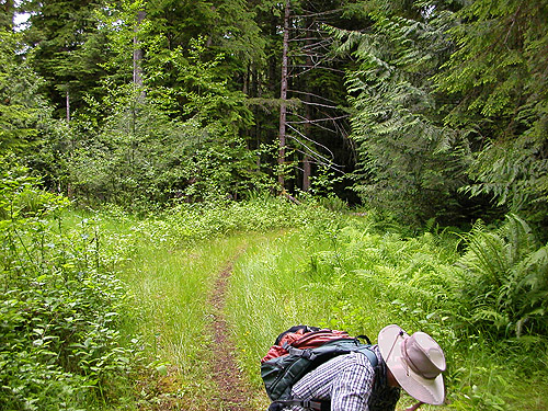 Laurel Ramseyer at grassy area, trail, former forest service road south of Lake Sutherland, Clallam County, Washington