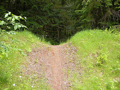 tank trap, beginning of trail, former forest service road south of Lake Sutherland, Clallam County, Washington